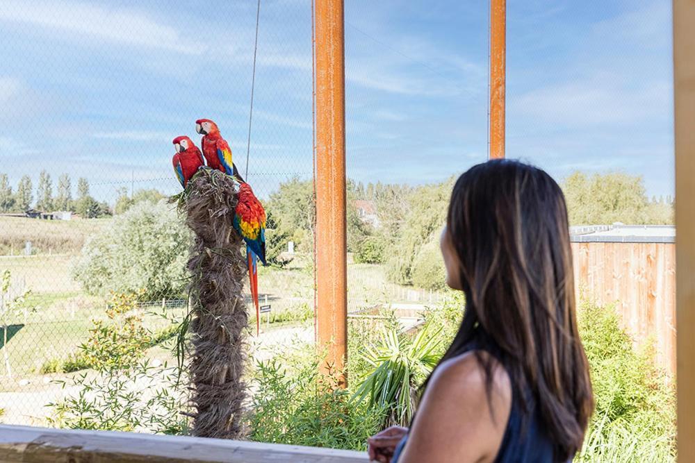 Parrot World - Les Lodges Crecy-la-Chapelle Exteriör bild