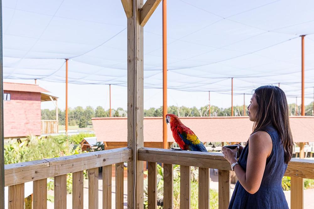 Parrot World - Les Lodges Crecy-la-Chapelle Exteriör bild
